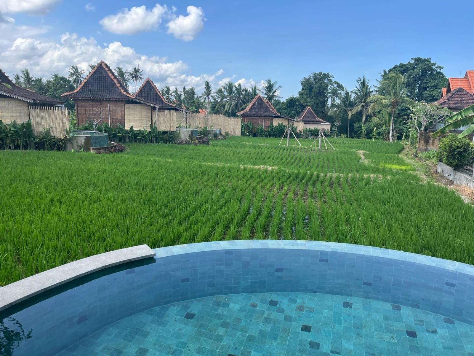 Dituju Ubud By Pramana Villas Exterior photo