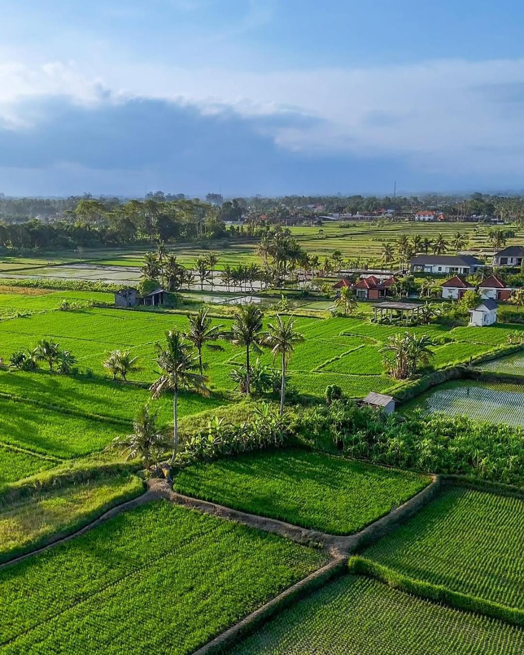 Dituju Ubud By Pramana Villas Exterior photo